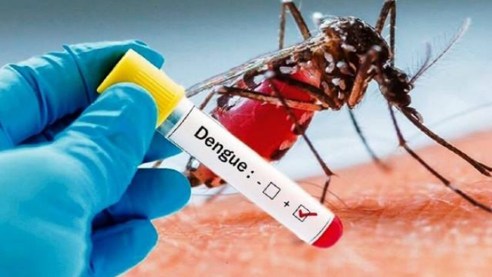 Demam Berdarah Dengue: Kenali Gejala dan 3 Fase Kritis