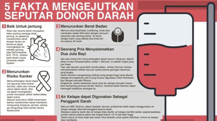 Darah donor kesehatan manfaat bagi ayo tubuh pmi jakarta balikpapan bersama centre nasional percontohan bakal jadi internasional organisasi upn kajian