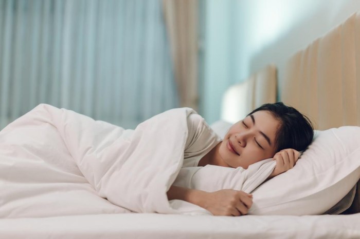 Pola Tidur Ideal untuk Produktivitas dan Kesehatan