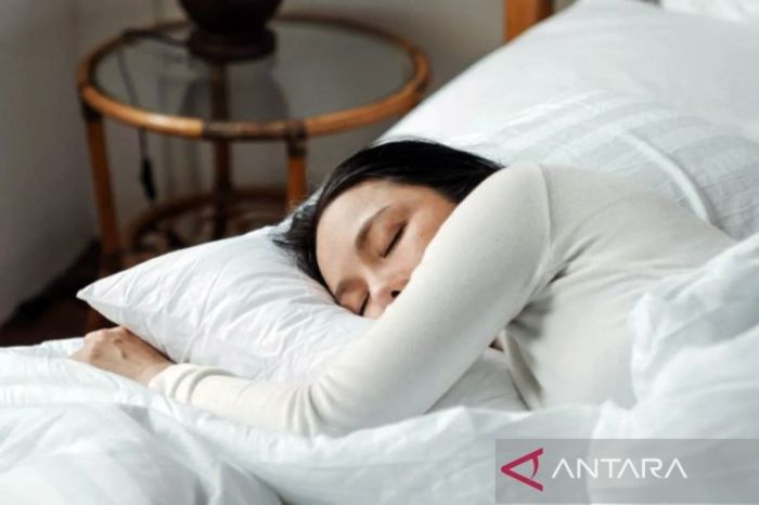 Pola Tidur Ideal untuk Produktivitas dan Kesehatan