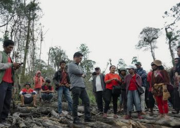 Perambahan Hutan di Dairi: Deforestasi Harus Segera Dihentikan