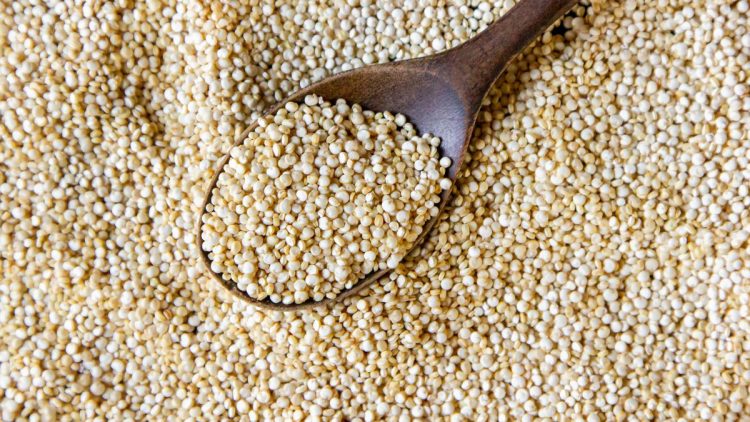 Sosis Ayam Berbasis Sorgum yang Tinggi Protein dan Ramah untuk Pengidap Diabetes