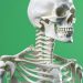 Tulang Rapuh Tidak Tiba-Tiba, Kenali Gejala Osteoporosis Sejak Dini